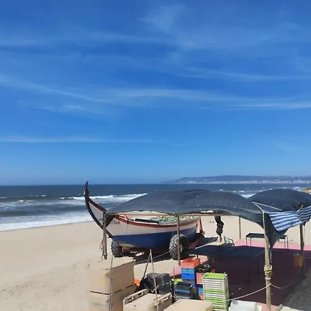 Magnifique Atlantic Terrace Maison וילה